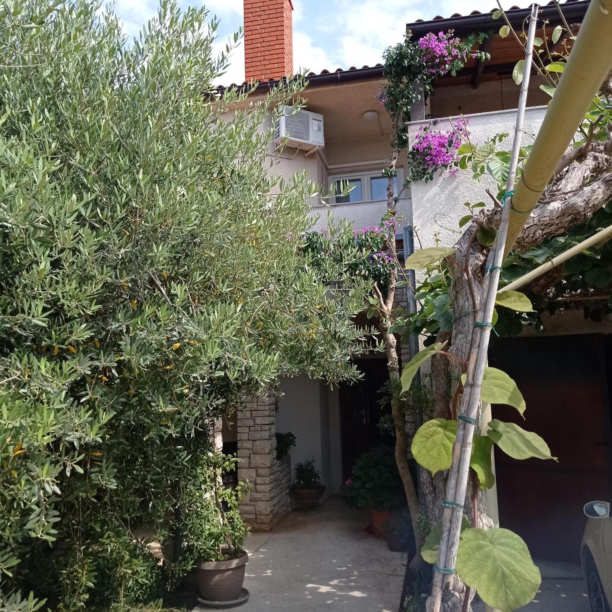 Apartments Anica Pula Zewnętrze zdjęcie